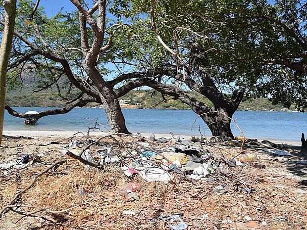 Mangroven sind vielen Gefahren ausgesetzt. Eine davon ist die Umweltverschmutzung durch Müll und Abwasser. © OroVerde / Laura Krings