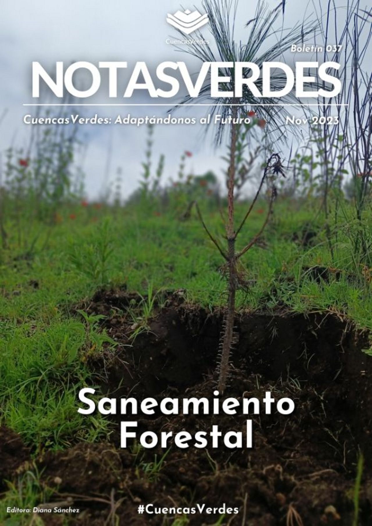 NotasVerdes Noviembre 2023