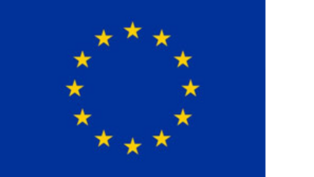 EU Logo