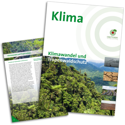 Positionspapier: Klimawandel und Tropenwaldschutz