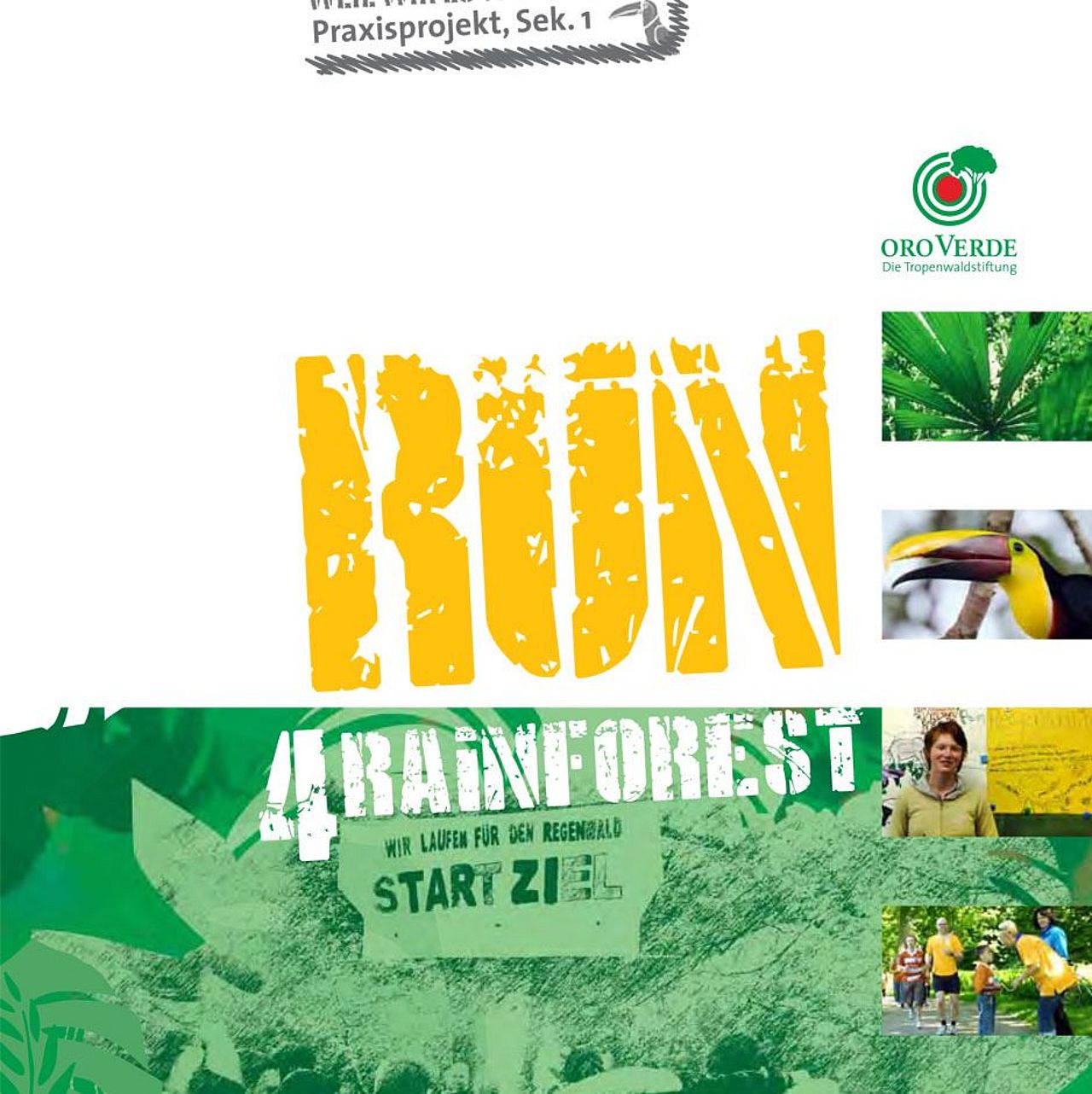 Praxisprojekt Sponsorenlauf Run 4 Rainforest