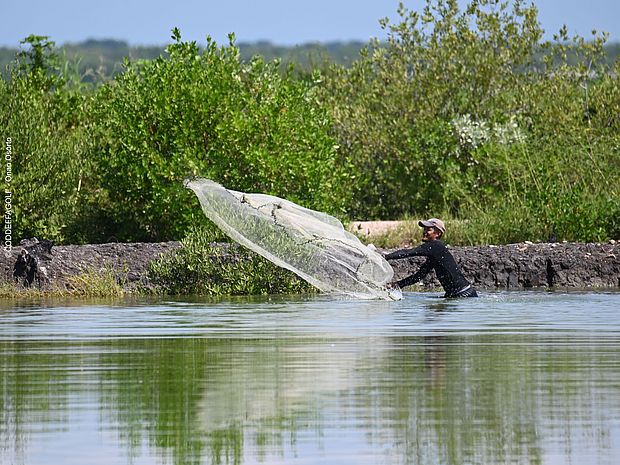 Fischerei in Honduras ©CODDEFFAGOLF - Onan Osortho