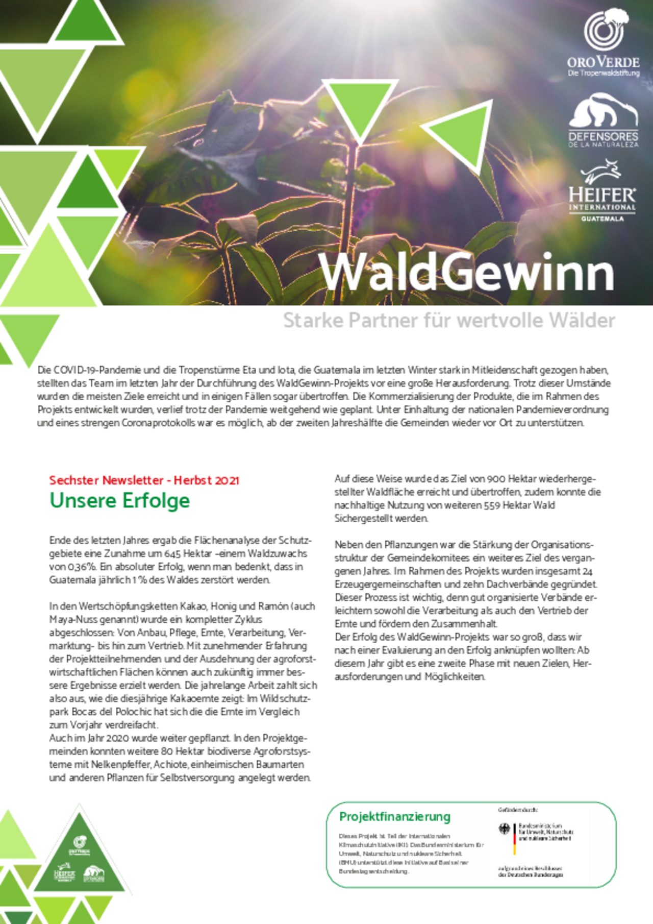 Newsletter Waldgewinn Nr. 6