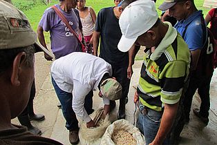 Bauern sichten das Ergebnis der Kakaoernte im Rahmen des Projektes WaldGewinn in Guatemala. ©OroVerde