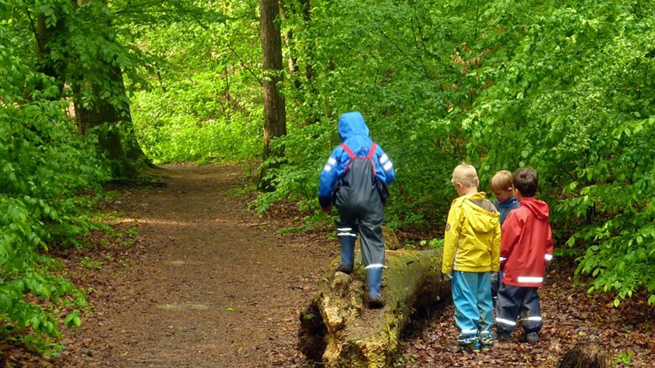 Kindergartenkinder entdecken den Wald