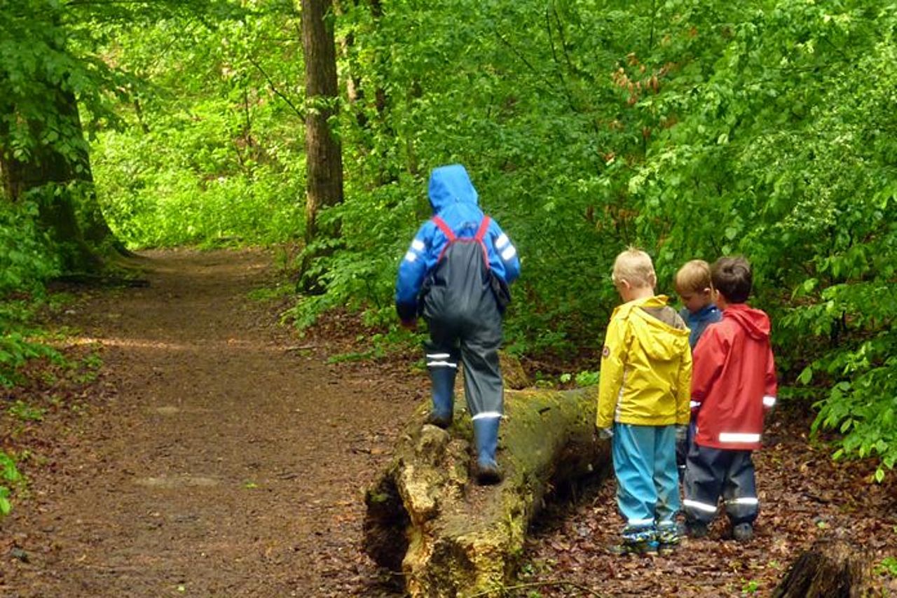 Kindergartenkinder entdecken den Wald
