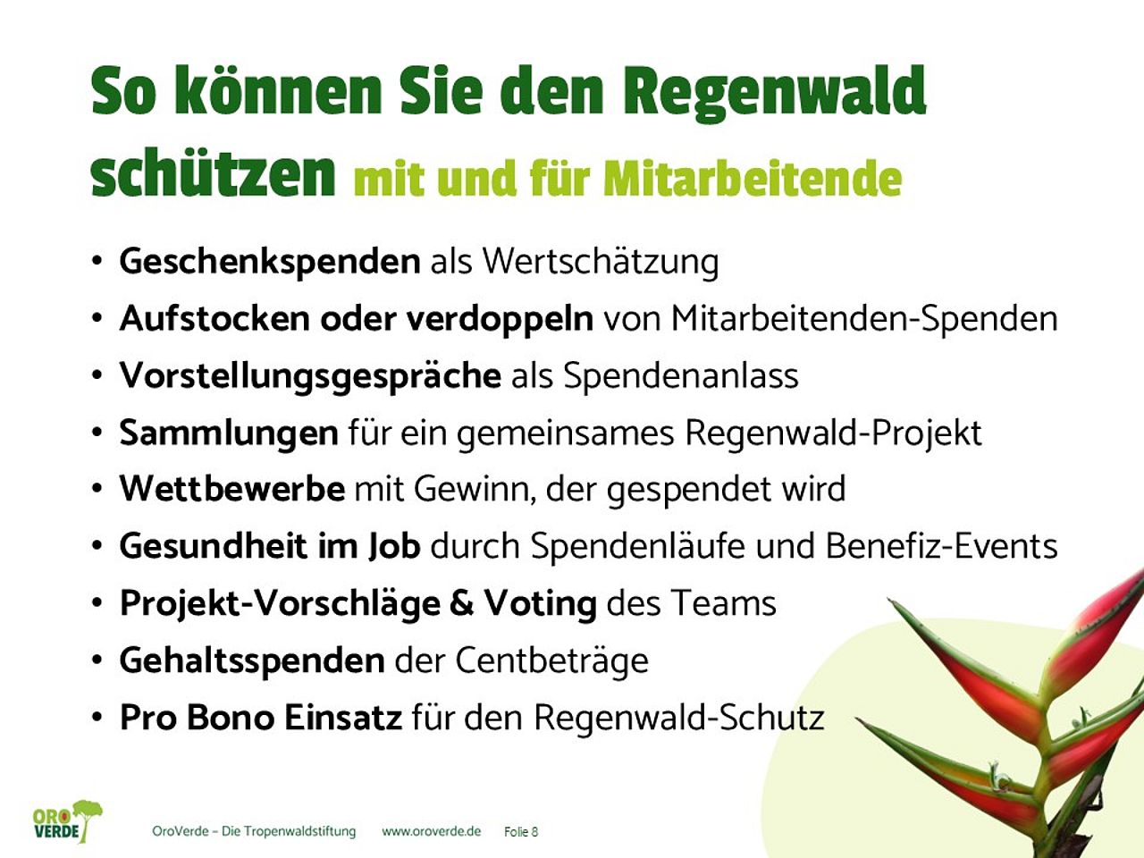 Mit und für Mitarbeitende: So können Sie den Regenwald schützen