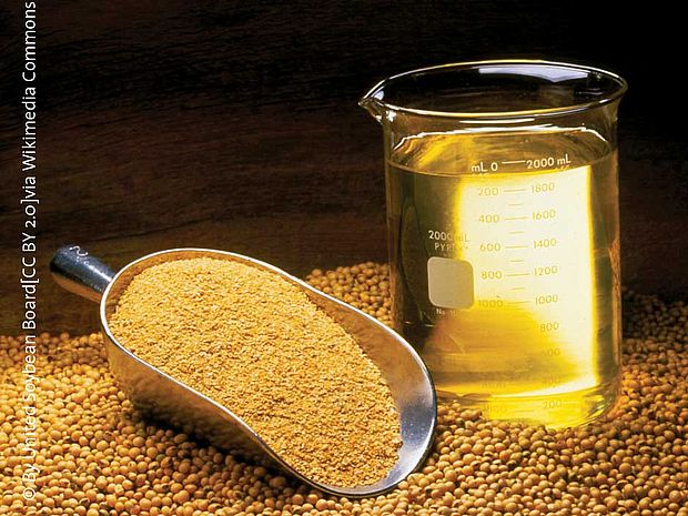 Sojabohnen und Sojaöl sind Rohstoffe aus denen Lecithin gewonnen wird.