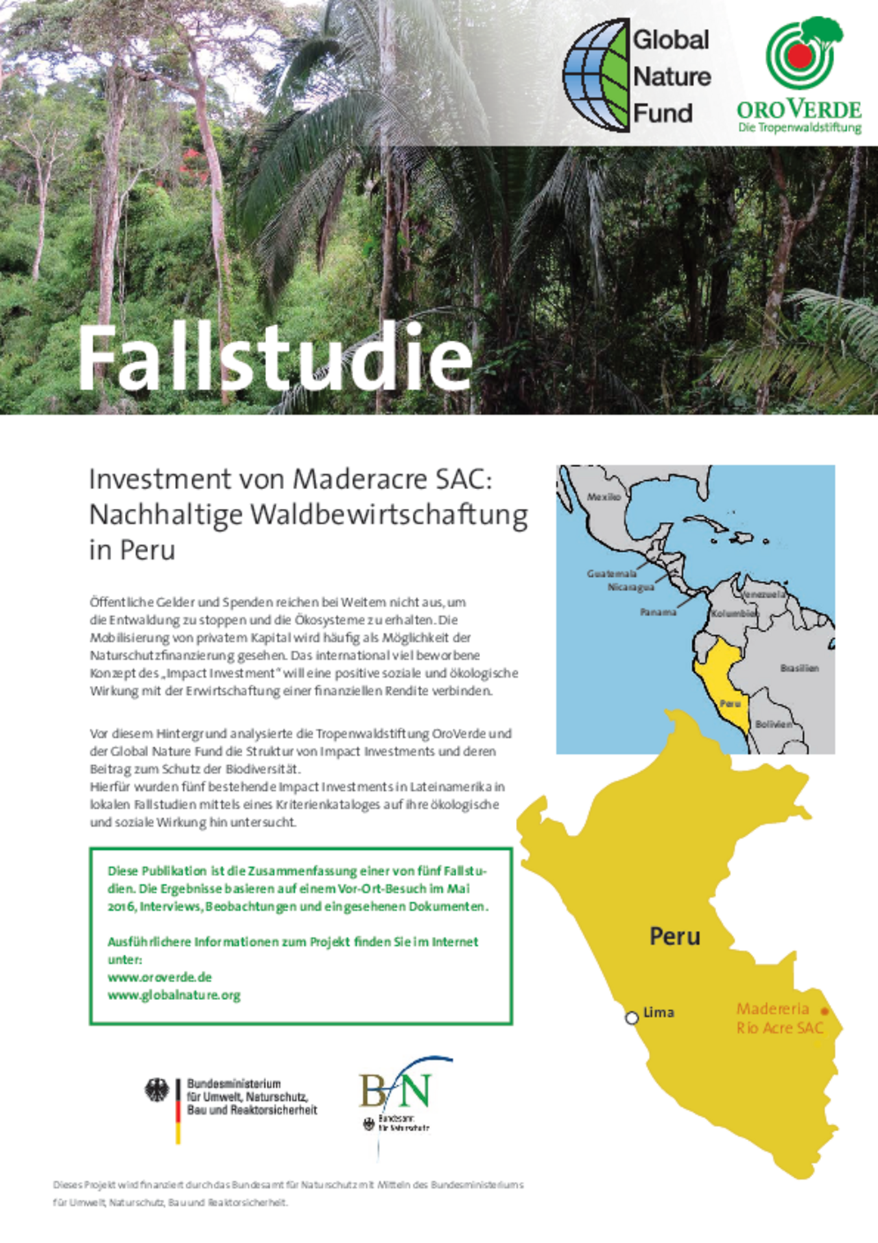 Impact Investment: Fallstudie 2