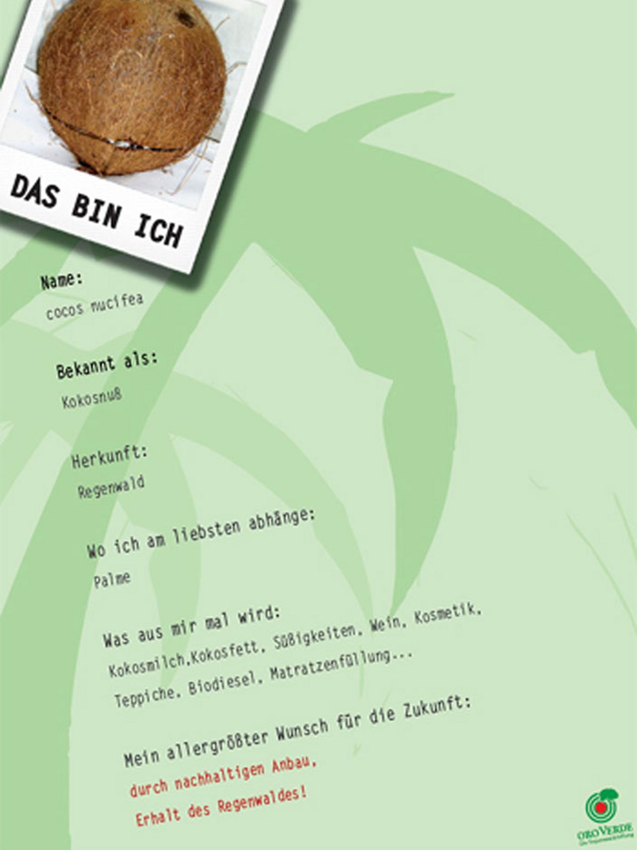 Kokosnuss Plakat im Rahmen des Schülerwettbewerbs "Geist ist geil"
