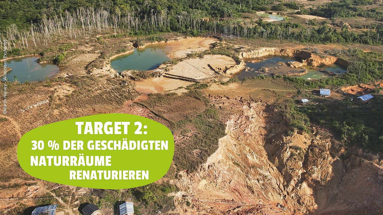 Eine Goldmine im Regenwald ©Martin Harvey - Wildscreen Exchange