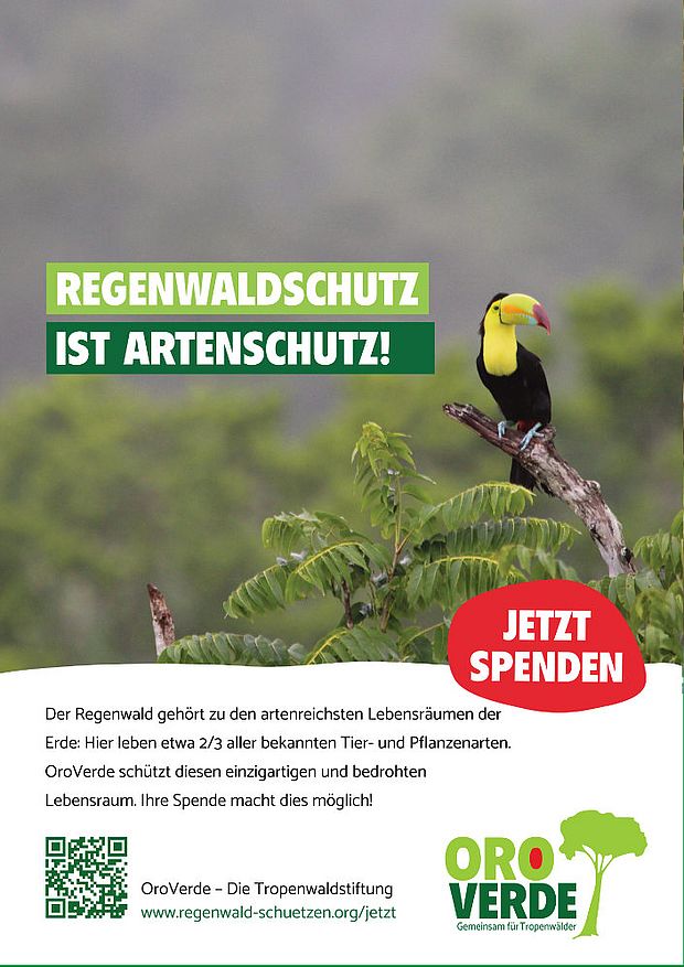 Freianzeige: Regenwaldschutz ist Artenschutz © OroVerde