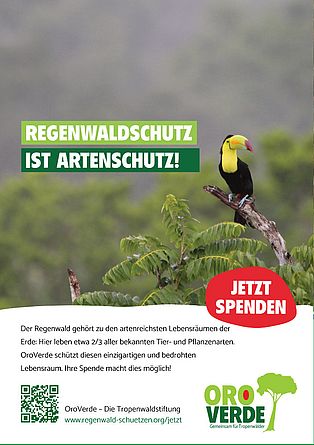 Freianzeige: Regenwaldschutz ist Artenschutz ©OroVerde