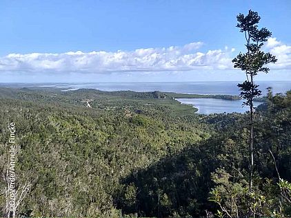 Der Alexander-von-Humboldt-Nationalpark umfasst eine große Vielfalt an Vegetationszonen und weltweit einmaliger Arten. ©OroVerde