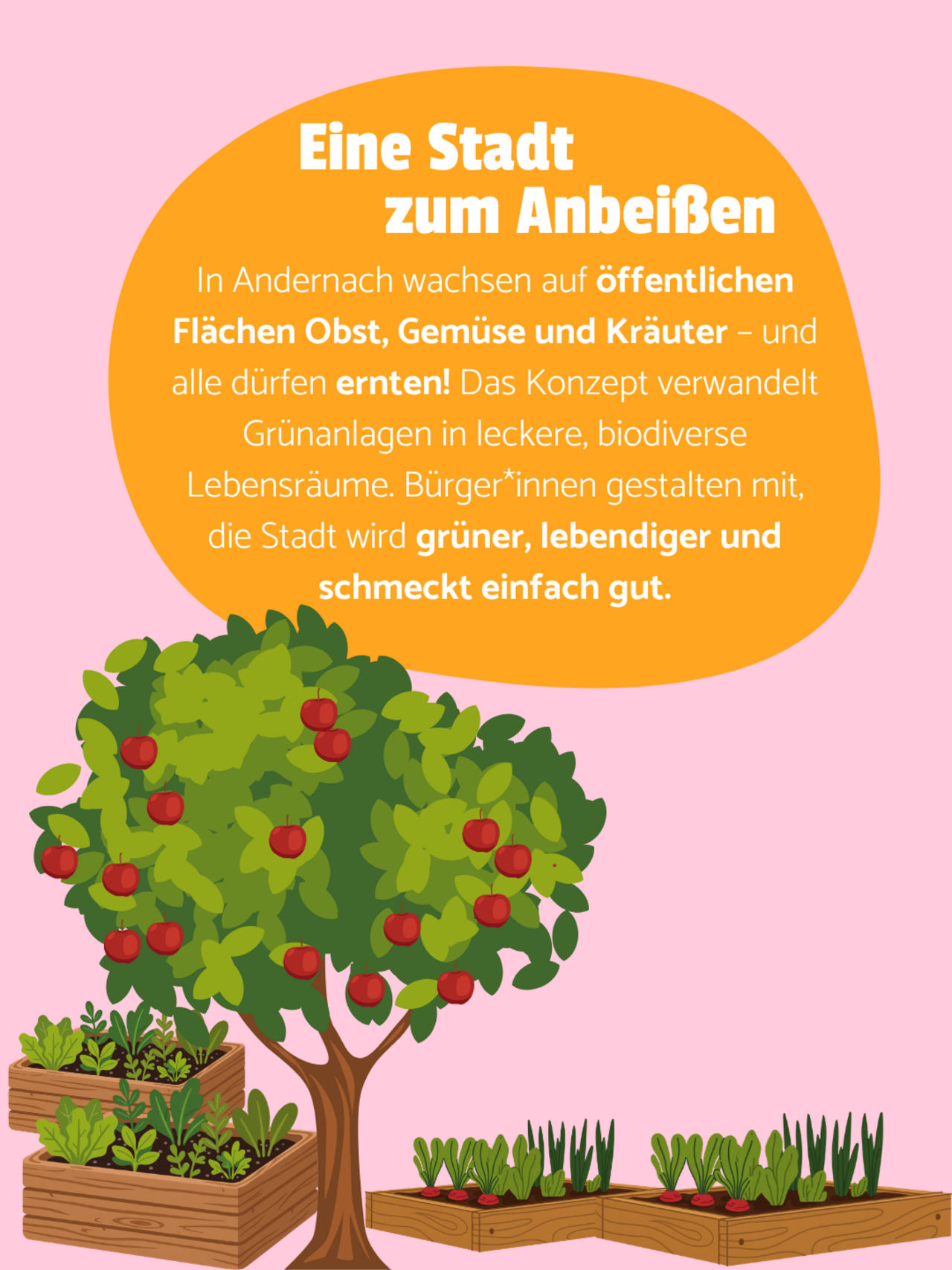 Ein Apfelbaum, zwei Kräuterbeete und zwei Gemüsebeete vor rosanem Hintergrund. In einer orangenen Blase steht: Eine Stadt zum Anbeißen - In Andernach wachsen auf öffentlichen Flächen Obst, Gemüse und Kräuter – und alle dürfen ernten! Das Konzept verwandelt Grünanlagen in leckere, biodiverse Lebensräume. Bürger*innen gestalten mit, die Stadt wird grüner, lebendiger und schmeckt einfach gut.