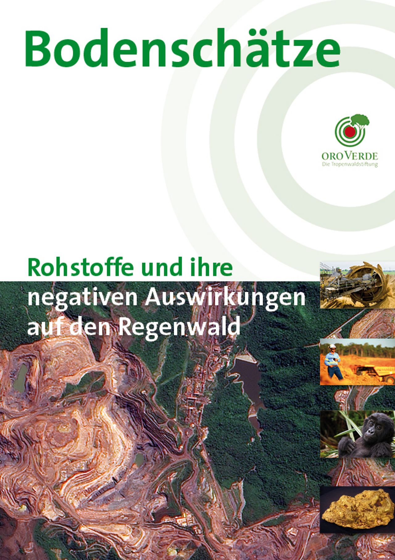Rohstoffe und ihre negativen Auswirkungen auf den Regenwald: Bodenschätze - Ein Faktenpapier von OroVerde