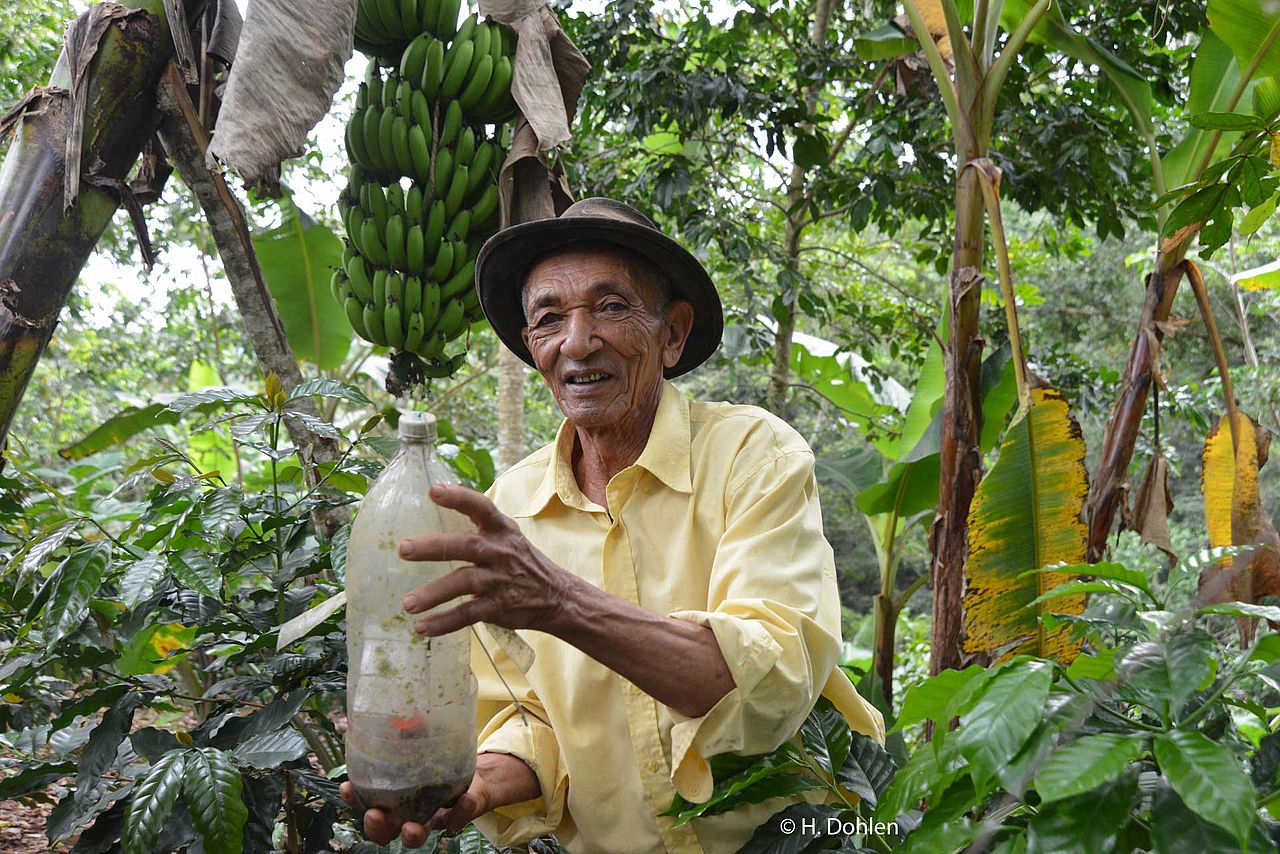 Kaffeebäuer*innen freuen sich über die Vielfalt in ihrem Agroforstsystem Kaffeebauer Ramon Antiono Hernandez in seinem Agroforstsystem