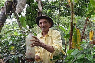Kaffeebauer Ramon Antonio ist auch mit seinen 85 Jahren noch dabei!