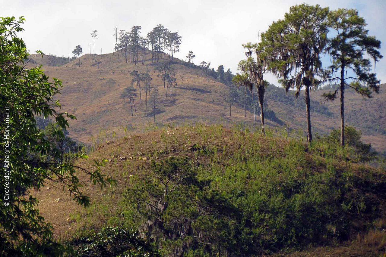 Die fortschreitende Entwaldung, wie hier in der Sierra de Neiba bei El Cercado (Dominikanische Republik), soll im Zuge des Projektes u.a. durch Waldwiederaufbau gebremst werden. ©OroVerde