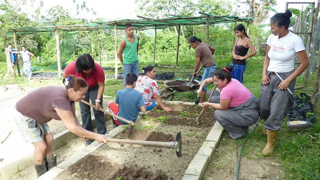 Gartenarbeit im Waldgarten in Venezuela
