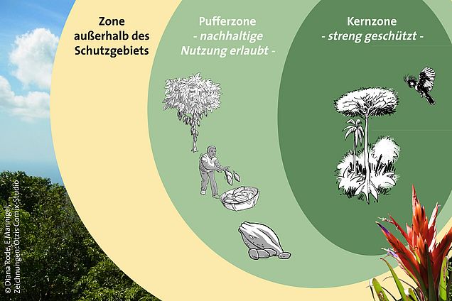 Entwicklung Grafik Schutzgebiete  ©OroVerde / Özi's Comix Studio