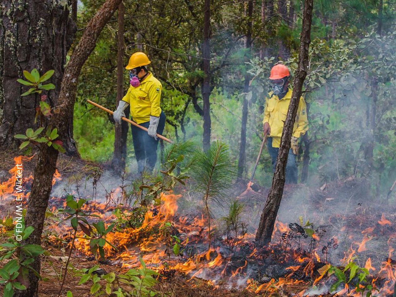 Brandschutz-Brigaden im Einsatz© FDN