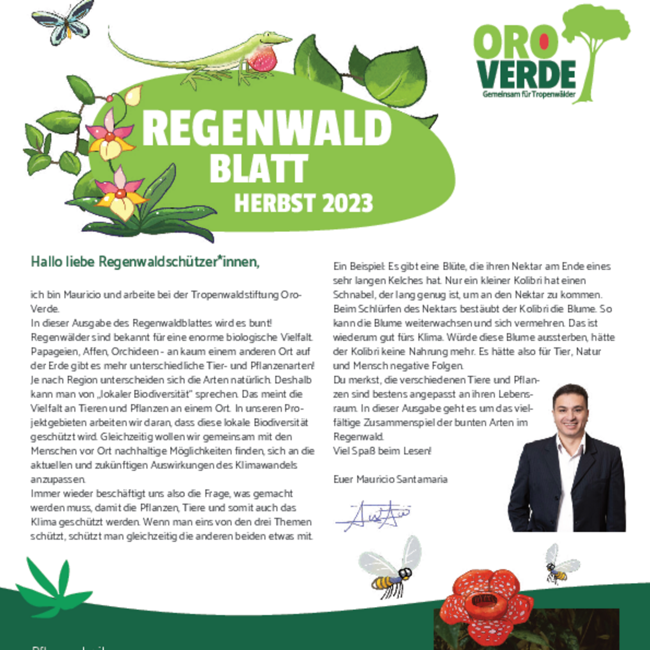 Regenwald-Blatt