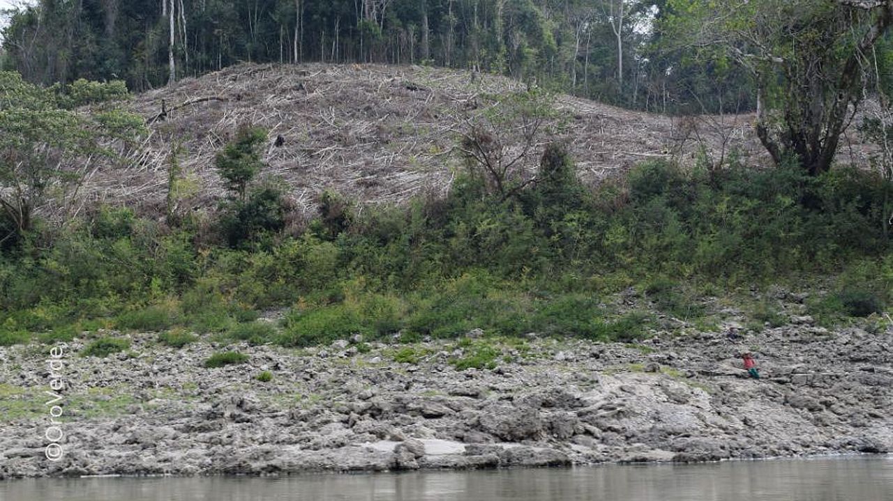 Falta de agua pone en riesgo los bosques, cuando los árboles desaparecen, el agua se hace aún más escasa: un circulo vicioso. © OroVerde