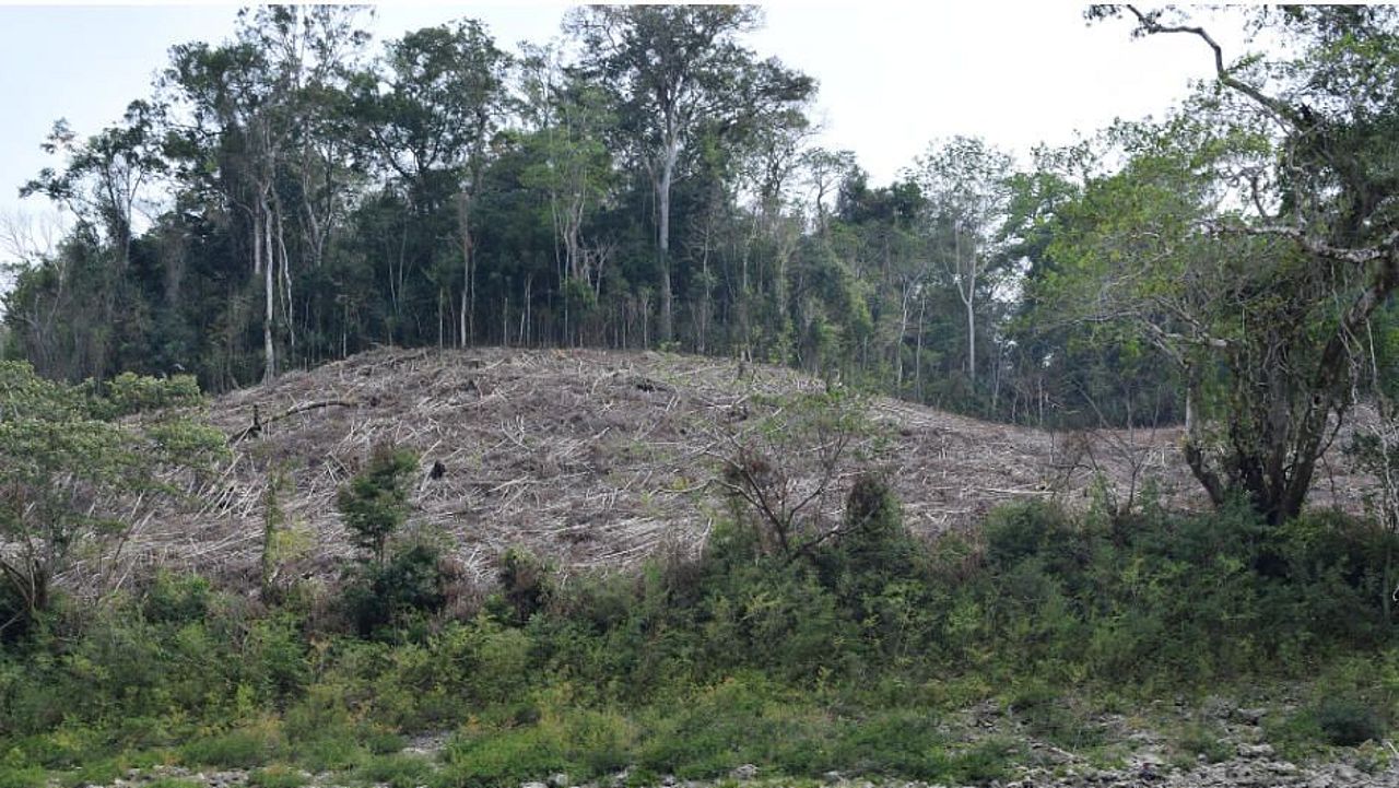 Water shortages put forests at risk. If the forest disappears, water becomes even scarcer: a vicious circle. © OroVerde