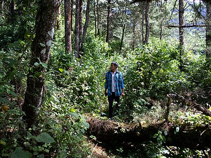 Mann läuft durch den Wald