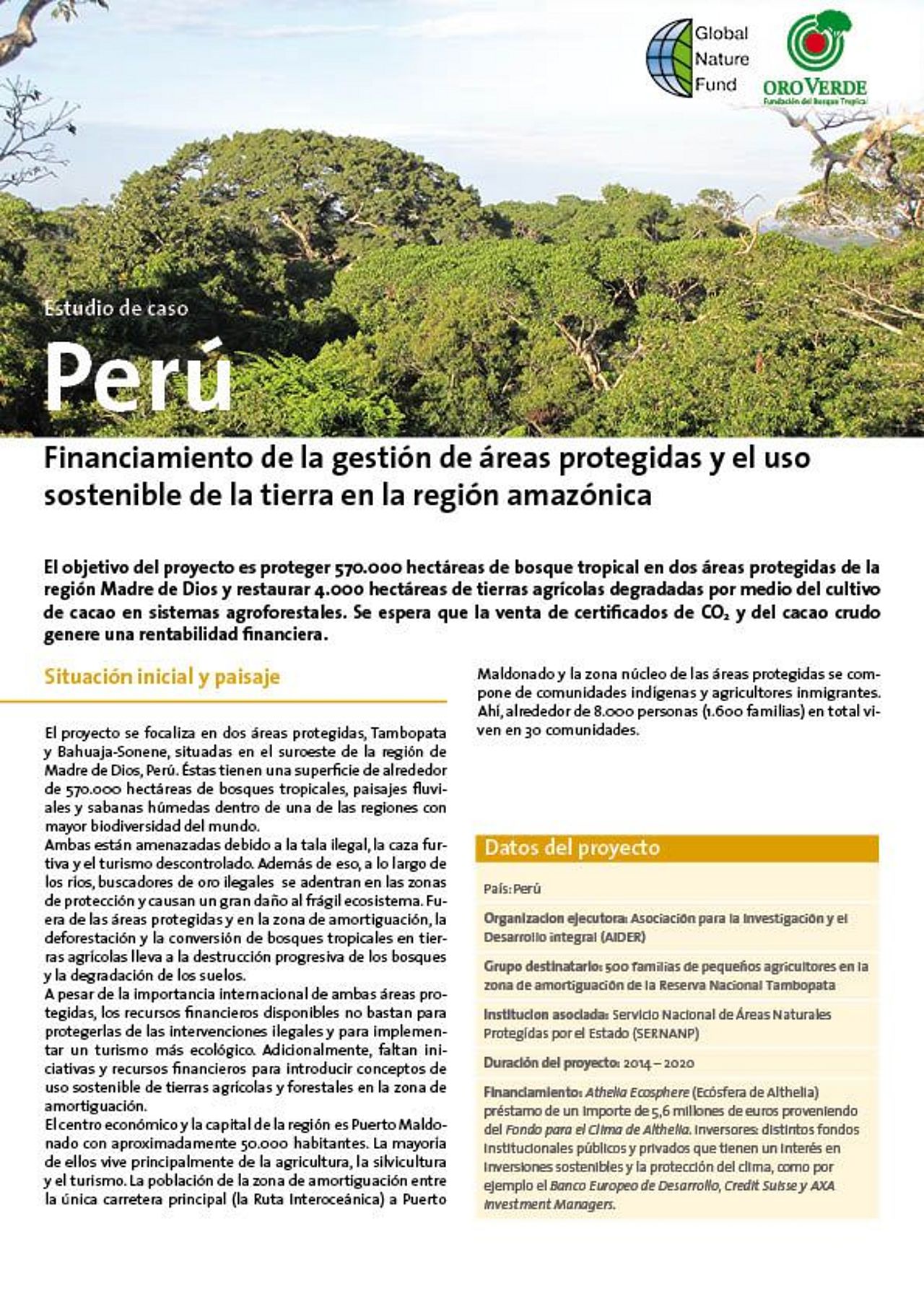 El cultivo del cacao en los sistemas agroforestales del Perú