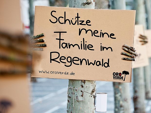 Adopt A Tree-Kampagne in Berlin