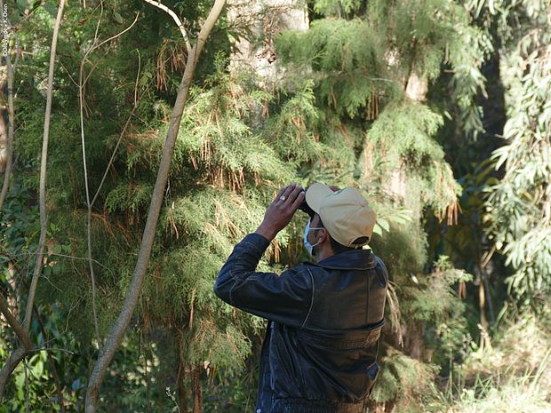 Mensch mit Fernglas ©OroVerde – K. Osen