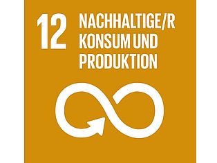 SDG der UN, Nachhaltige/r Konsum und Produktion 