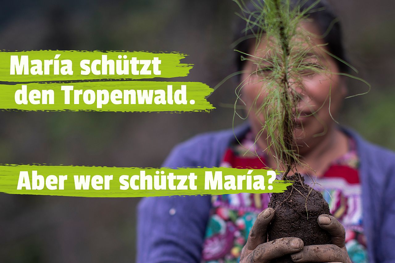 Eine Frau hält einen Setzling.