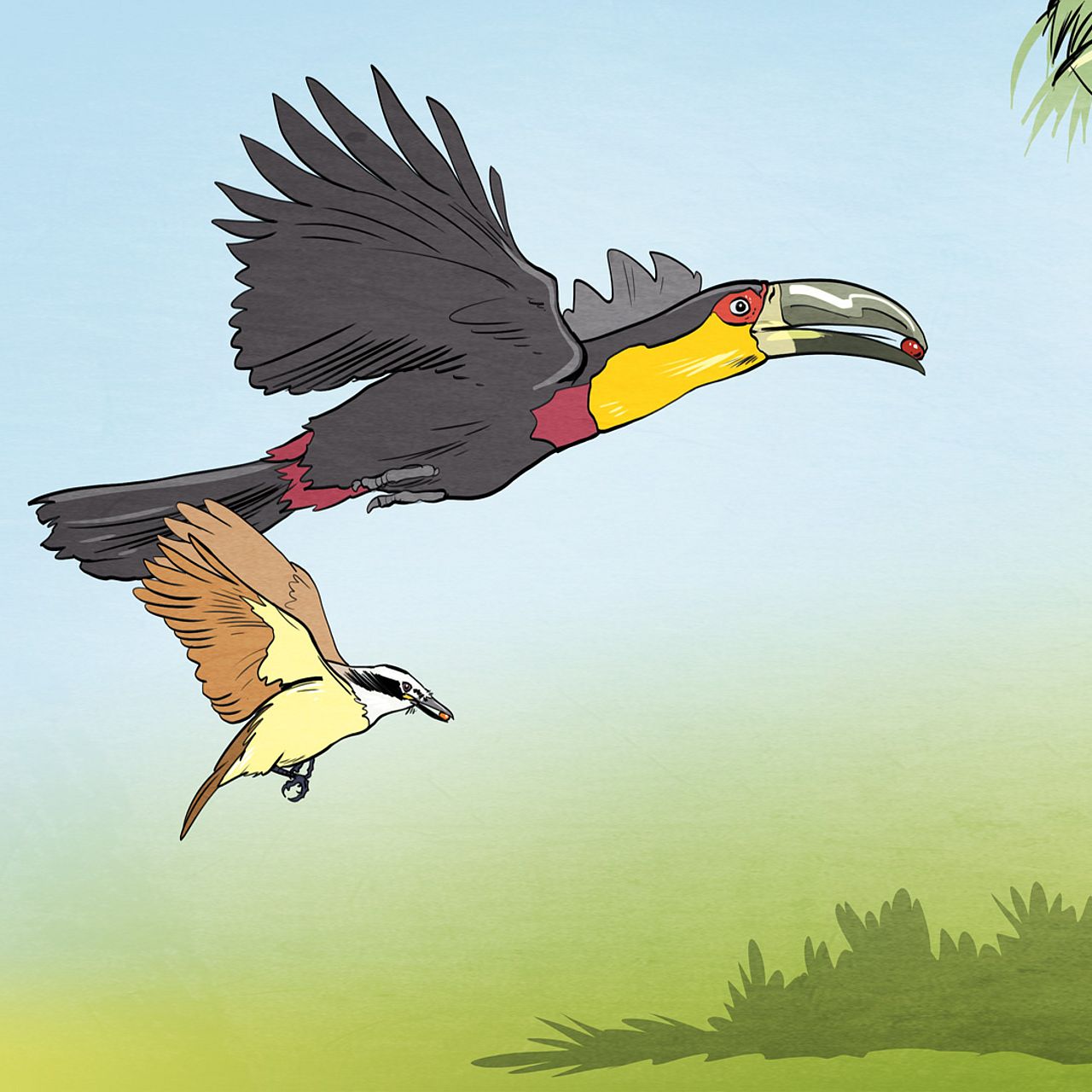 Grafik mit Tukan und kleinem Vogel - der Tukan und die Jussara-Palme, eine Geschichte über Biodiversität und den Klimawandel