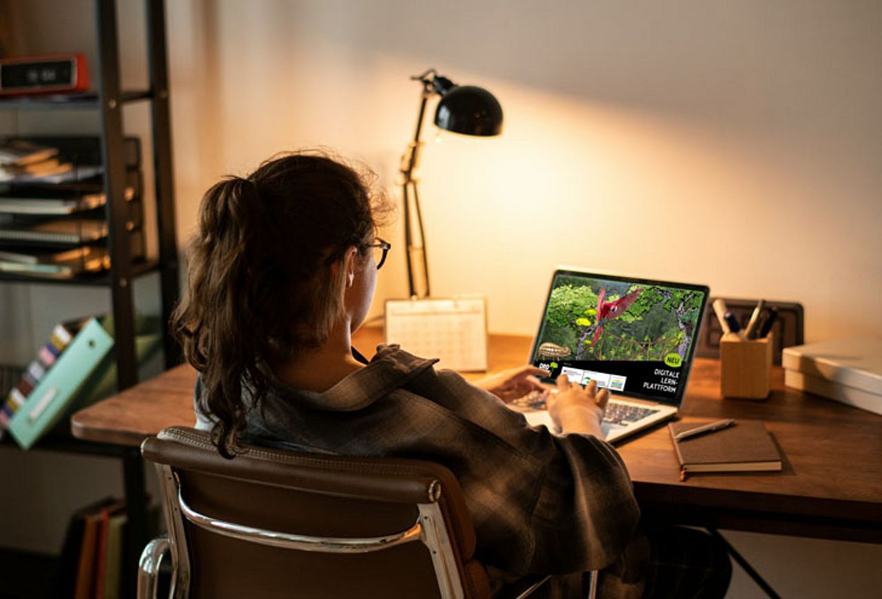 Selbstmotiviertes Lernen zum Thema Nachhaltigkeit und Tropenwald. ©curatedlifestyle/unsplash