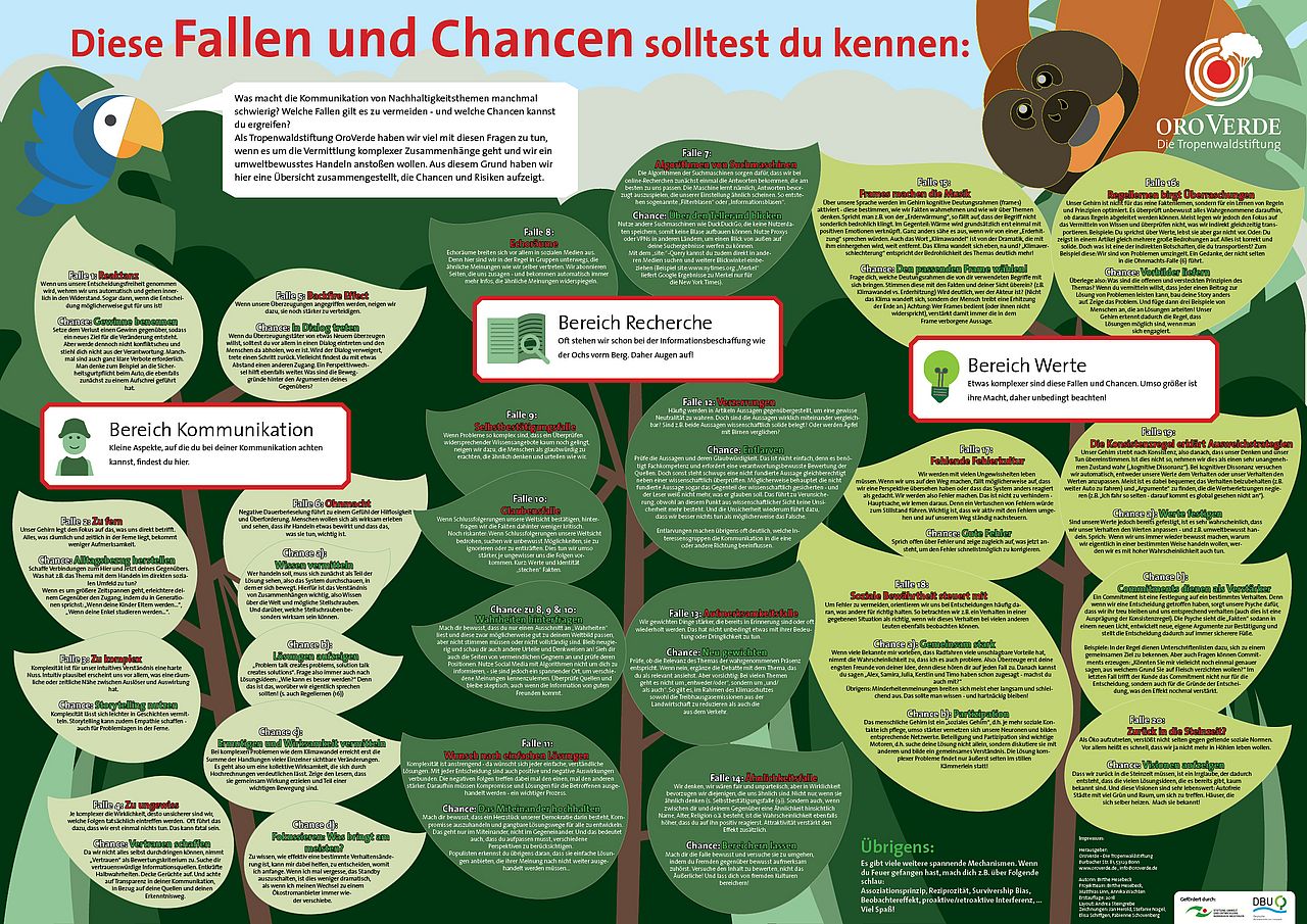 Fallen und Chancen ©OroVerde