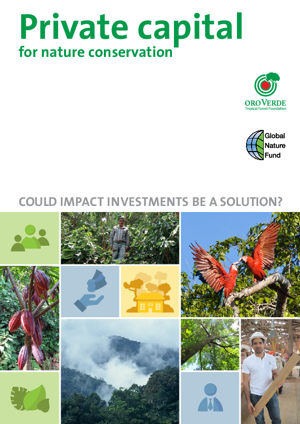 Impact Investments final study