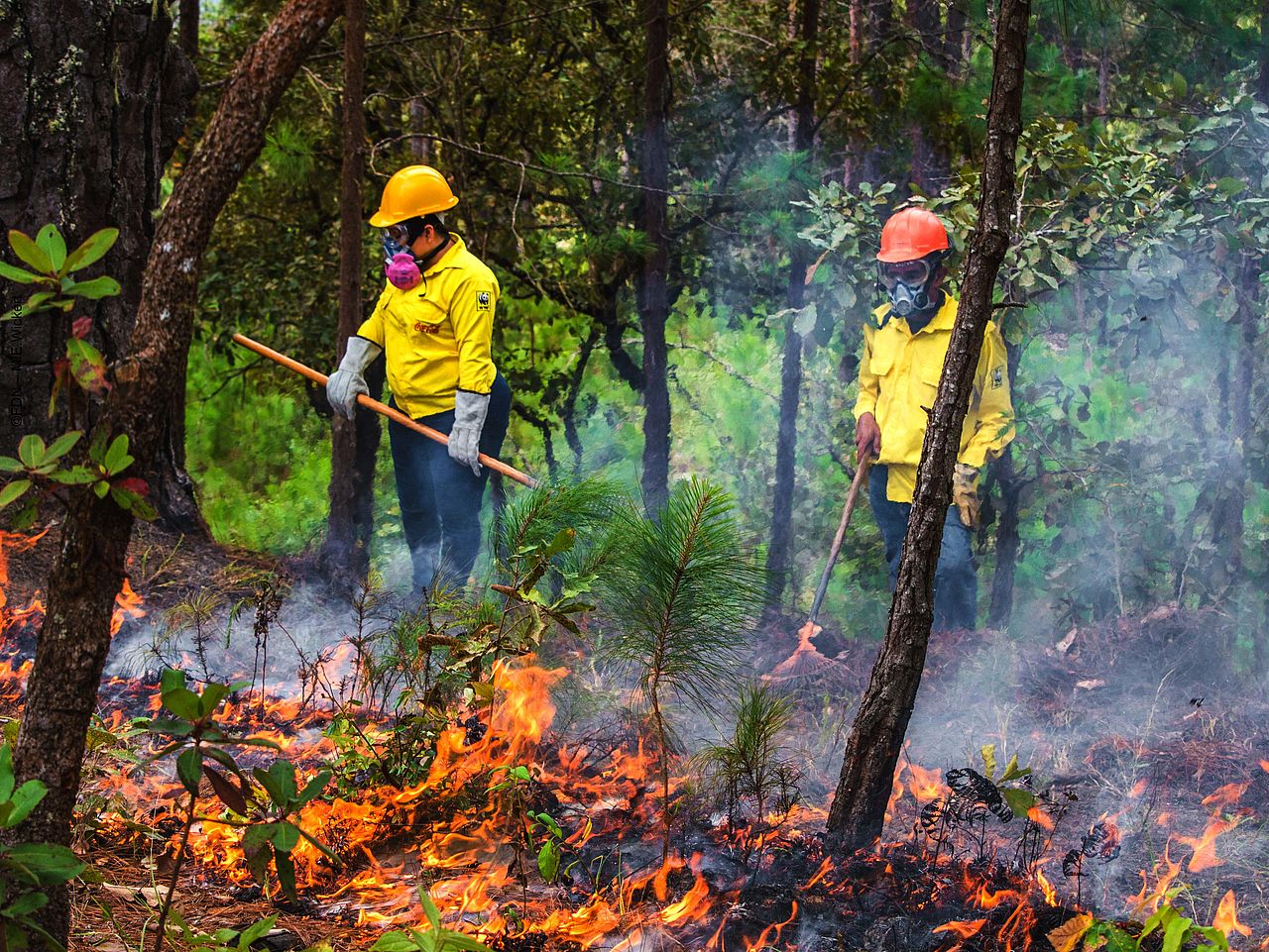 Feuerbrigade © FDN / M. E. Wickert © FDN / M. E. Wickert