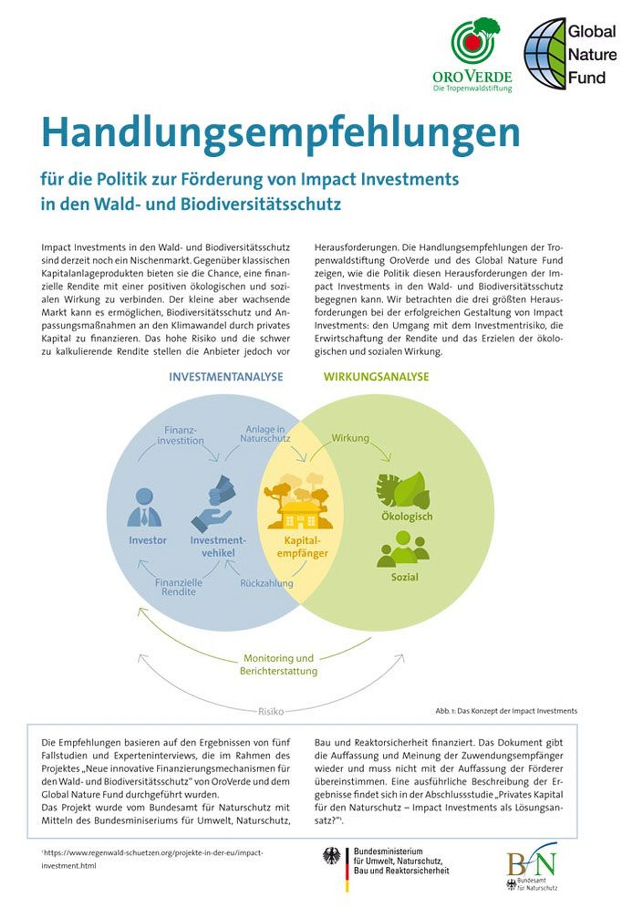 Impact-Investment: Empfehlungen zum Handeln