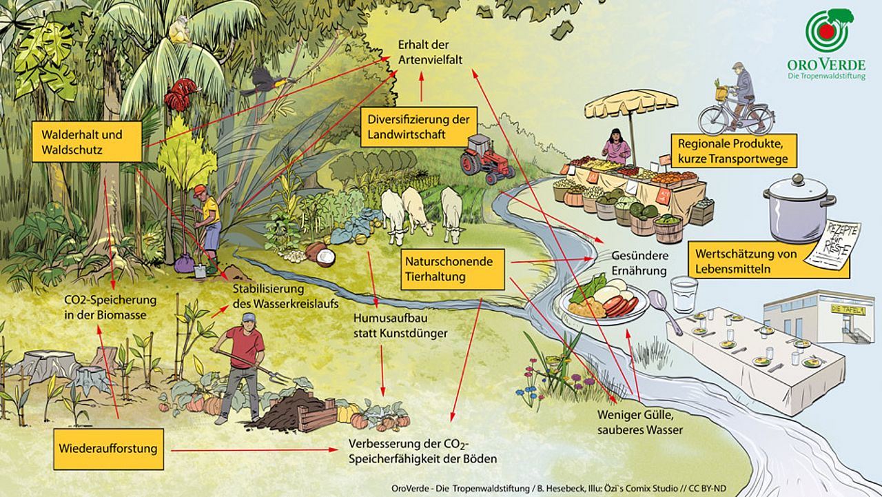 Klimaschutz und Landwirtschaft: Nachhaltige Landwirtschaft ist nicht genug um Erdüberhitzung zu stoppen © OroVerde