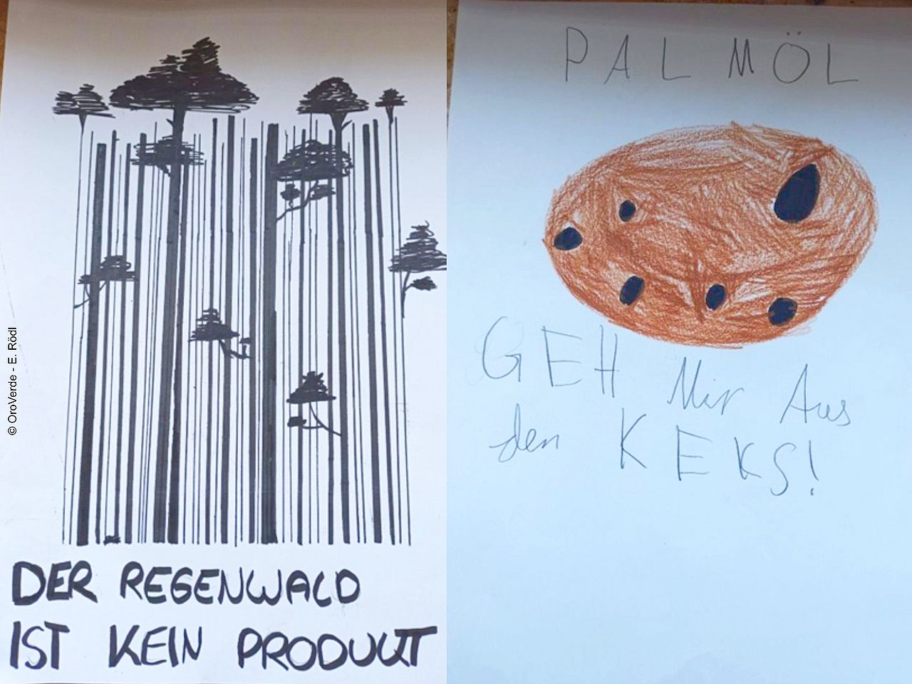 Zwei Plakate sind nebeneinander zu sehen. Im Linken ist ein gemalter Barcode, aus dem Bäume wachsen mit dem Slogan „Der Regenwald ist kein Produkt.“ Das Rechte zeigt einen gemalten Keks mit dem Slogan „Palmöl - Geh mir aus dem Keks!“