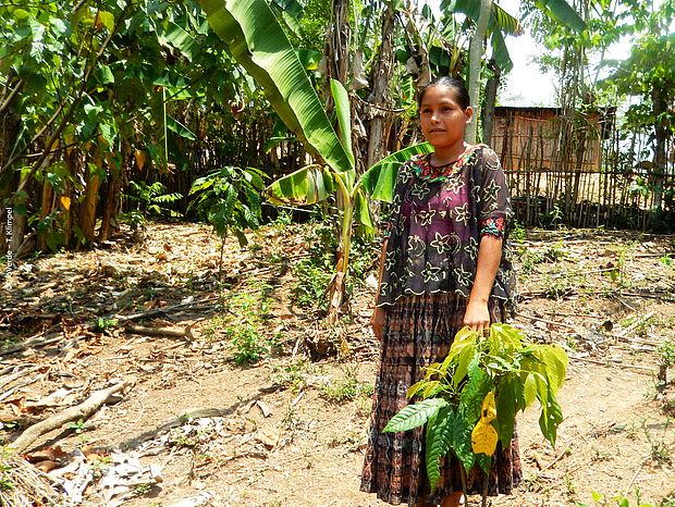 Eine Fraue steh vor einem Waldgarten im Projekt Biofincas, welches Biodiversität in der Landwirtschaft fördert.
