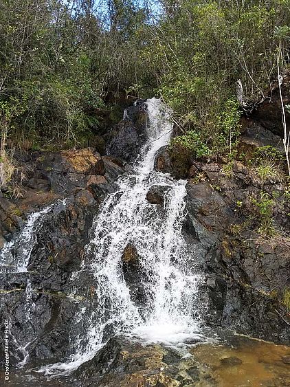 Der Park ist Quellgebiet mehrerer Flüsse und hat eine fundamentale Rolle im regionalen Wasserkreislauf. ©OroVerde