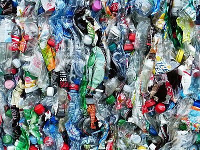 Plastik, Schadstoffe und Müll tragen zum Biodiversitätsverlust bei. ©H. Braxmeier