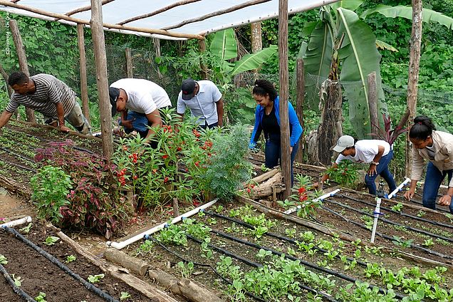 Das Team von Centro Naturaleza unterstützt die lokale Bevölkerung beim Anlegen von Hausgärten, die mit Dächern gegen Starkregen geschützt sind.  ©OroVerde - Kristina Osen