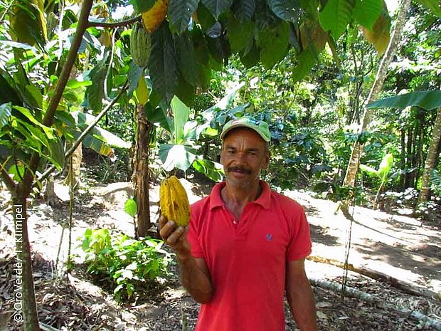 Glücklicher Mann in Waldgarten (Agroforstsystem)