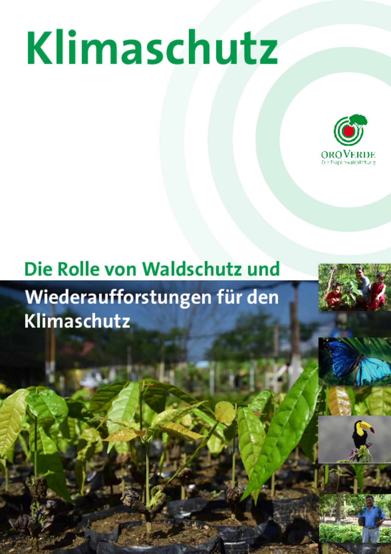 Positionspapier Klimaschutz
