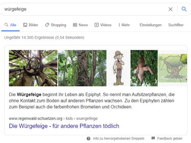 Screenshot Suchergebnisse zur "Würgefeige"